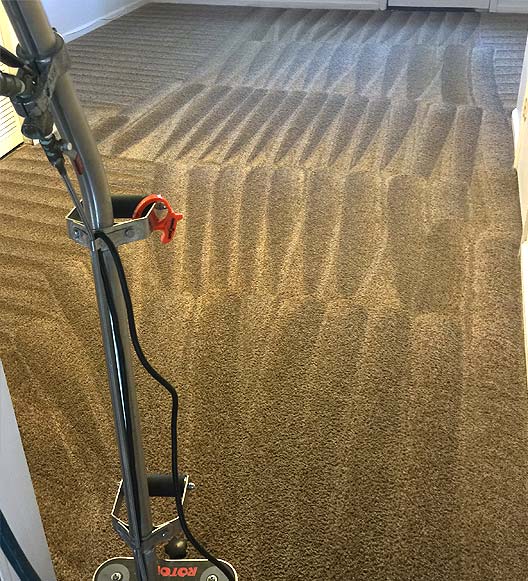 Bowden's Carpet Cleaning